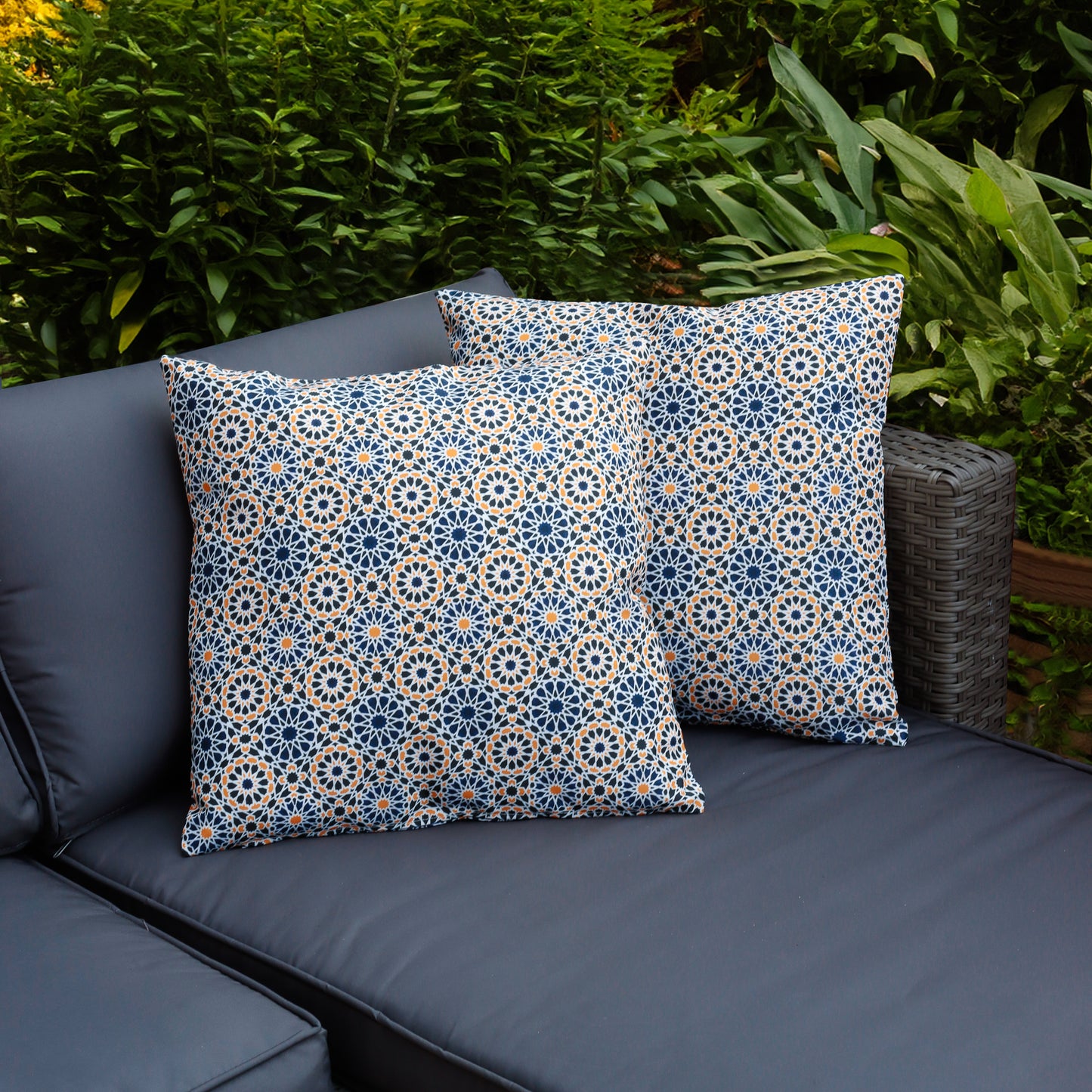 Pair of Casablanca Scatter Cushions