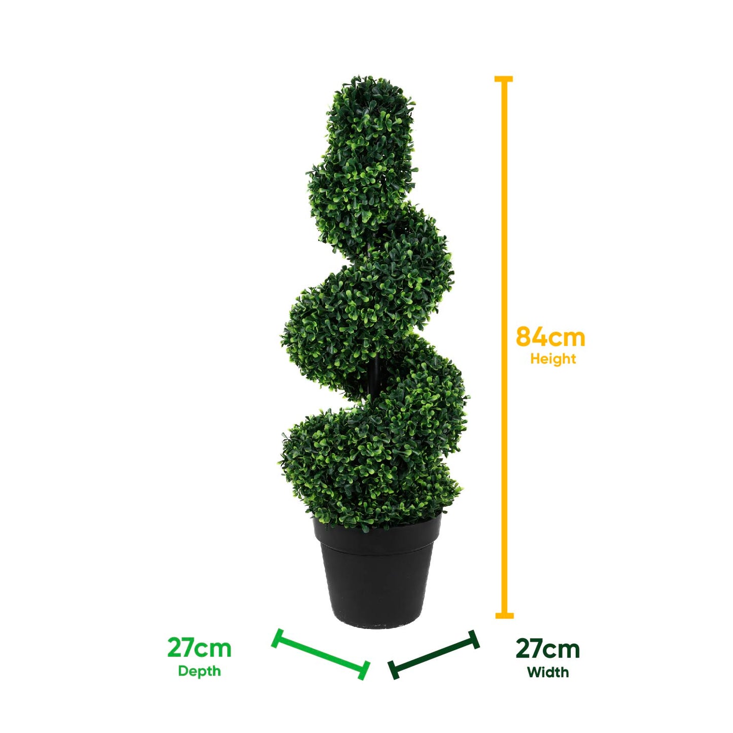 Solar Twist Topiary in Pot