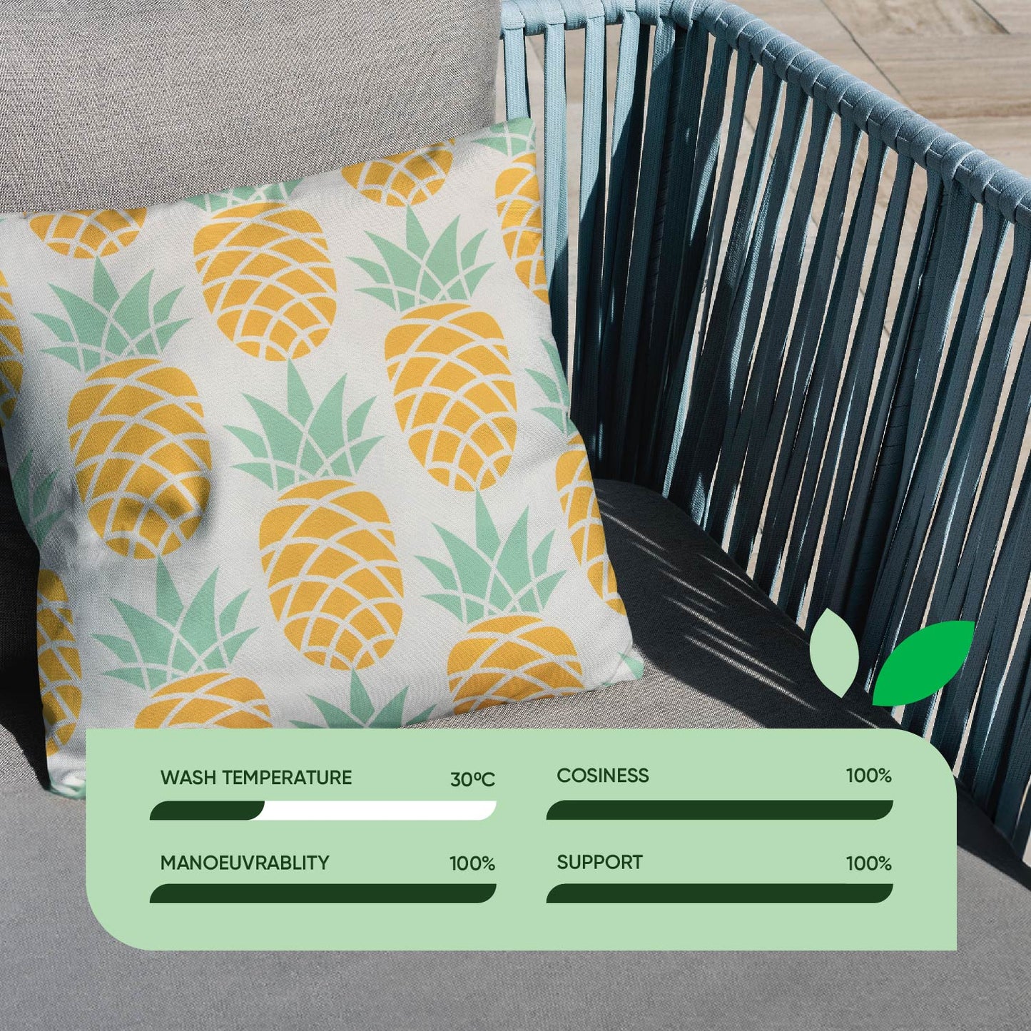 Outdoor Pair Of Scatter Cushions - Pineapple