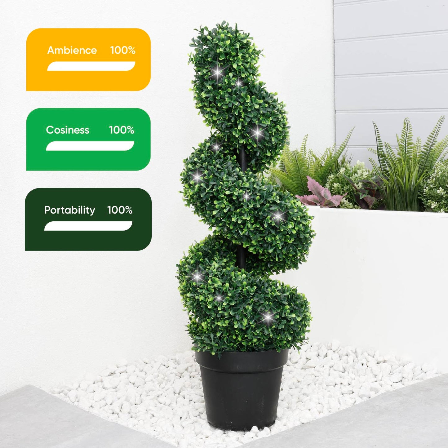 Solar Twist Topiary in Pot