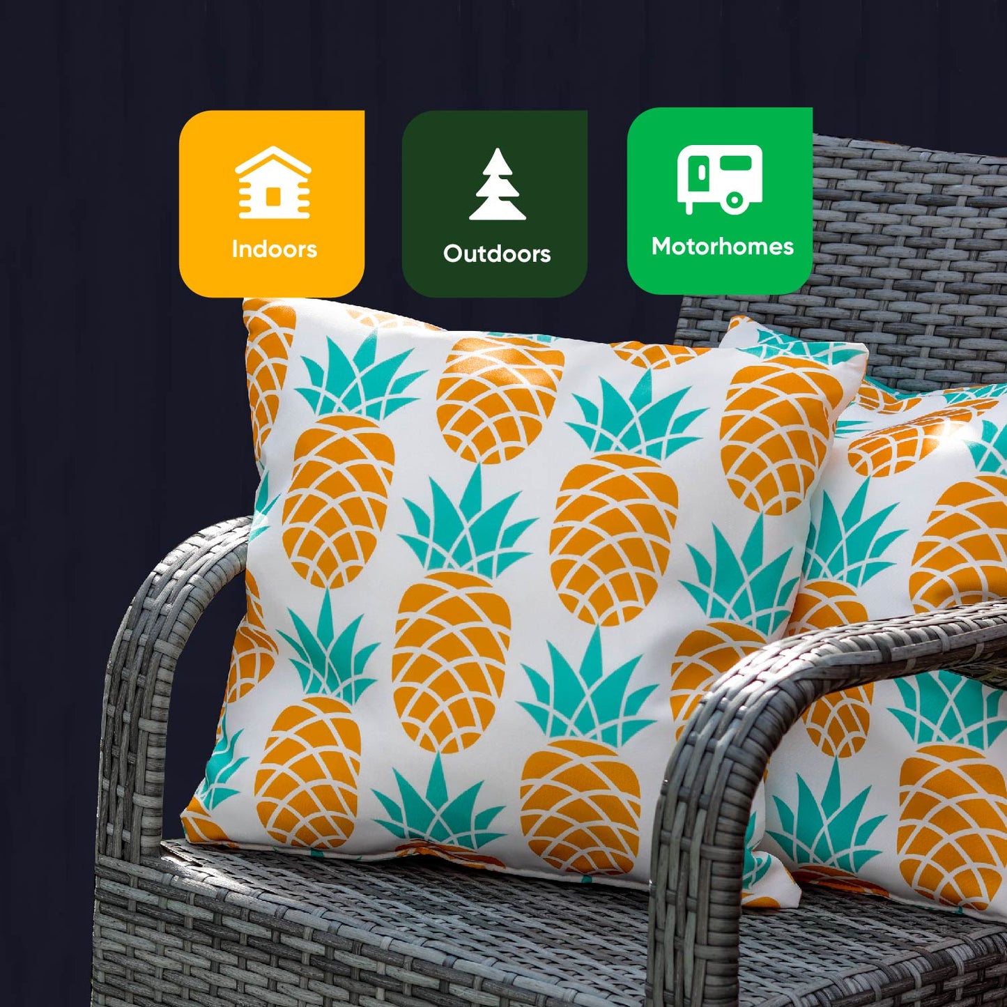 Outdoor Pair Of Scatter Cushions - Pineapple