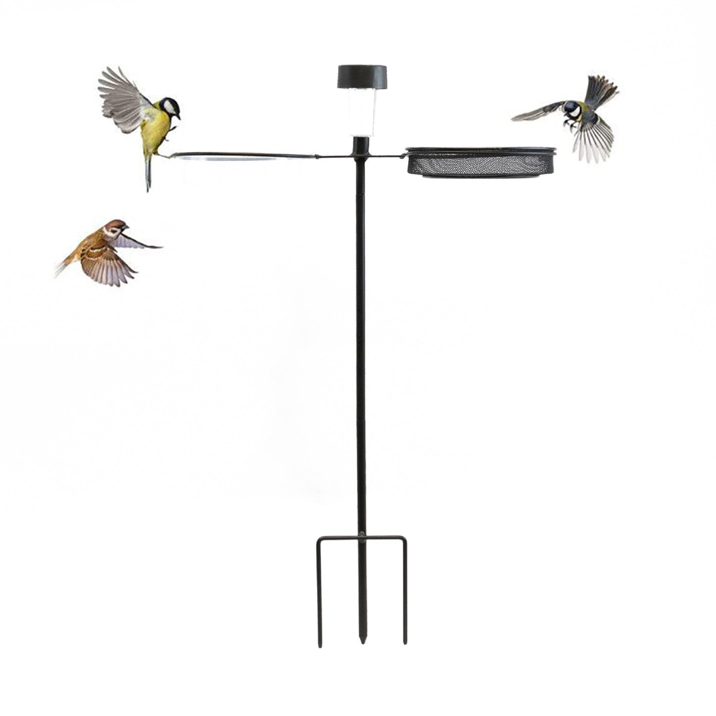 Freestanding Bird Feeder With Solar LED