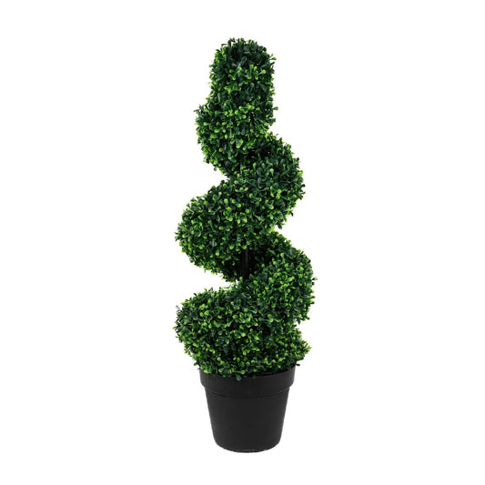 Solar Twist Topiary in Pot